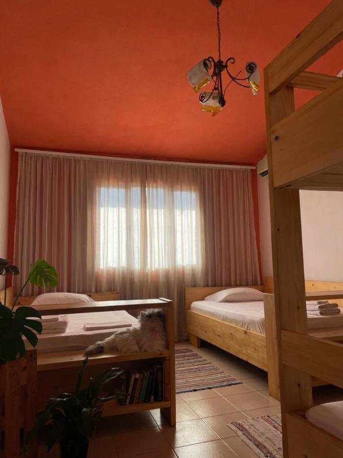Cozy Big Apartment With Balcony تيرانا المظهر الخارجي الصورة