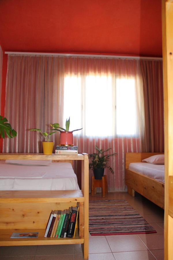 Cozy Big Apartment With Balcony تيرانا المظهر الخارجي الصورة